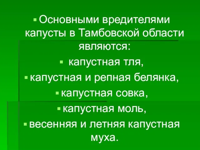 Основными вредителями капусты в Тамбовской области являются: капустная тля, капустная и репная