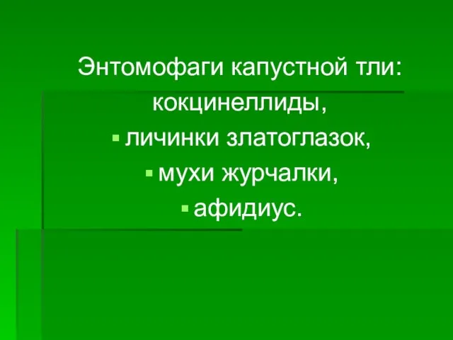 Энтомофаги капустной тли: кокцинеллиды, личинки златоглазок, мухи журчалки, афидиус.