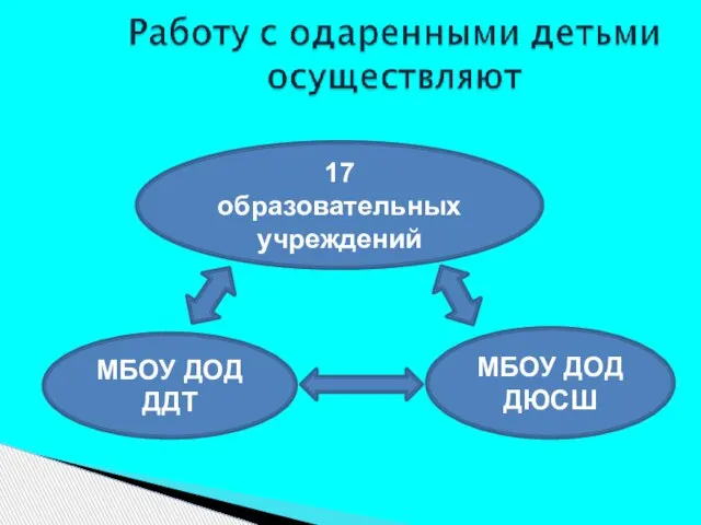 17 образовательных учреждений МБОУ ДОД ДДТ МБОУ ДОД ДЮСШ