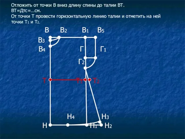 Отложить от точки В вниз длину спины до талии ВТ. ВТ=Дтс=…см. От