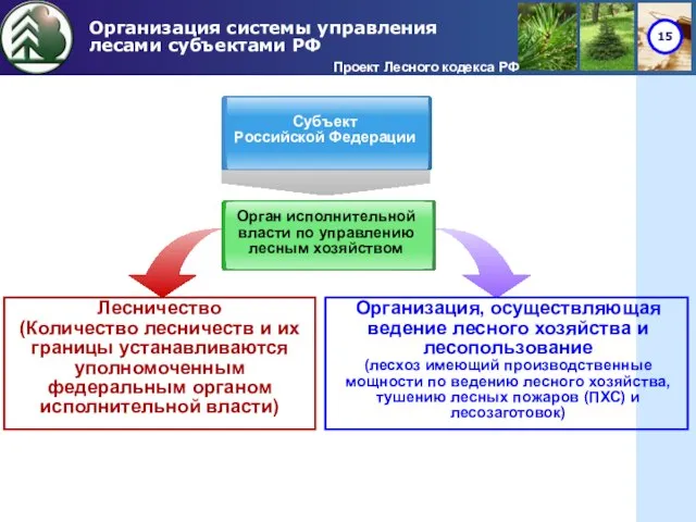 Организация системы управления лесами субъектами РФ Проект Лесного кодекса РФ Лесничество (Количество