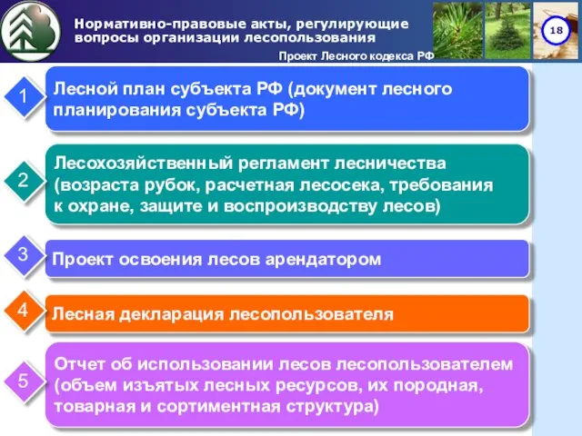 Нормативно-правовые акты, регулирующие вопросы организации лесопользования Проект Лесного кодекса РФ Лесной план
