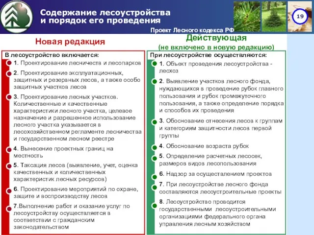 Содержание лесоустройства и порядок его проведения Проект Лесного кодекса РФ В лесоустройство