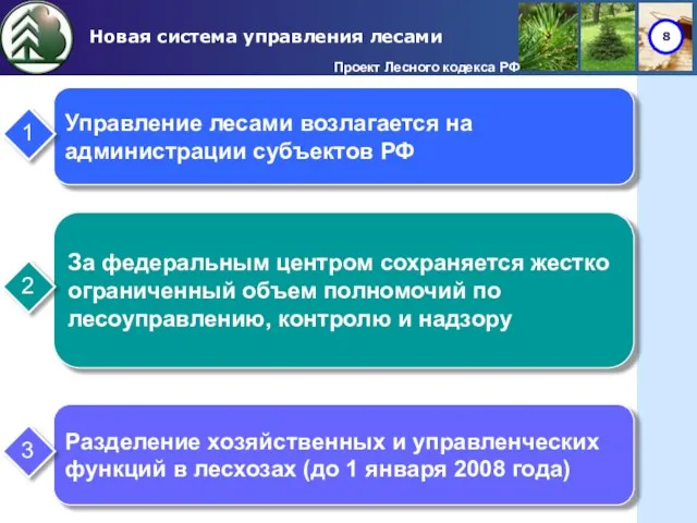 Новая система управления лесами Проект Лесного кодекса РФ Управление лесами возлагается на