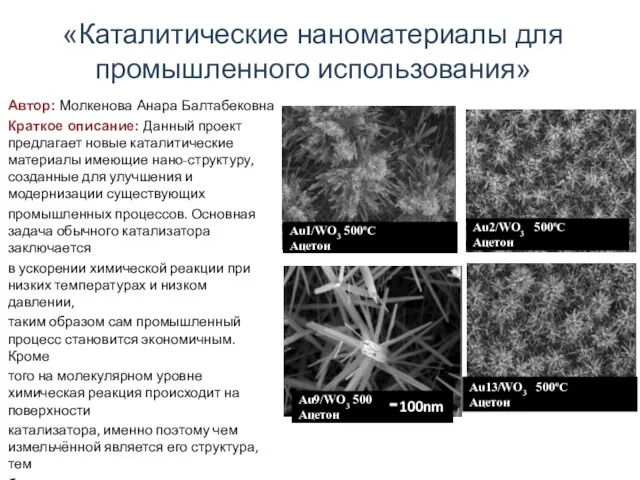 «Каталитические наноматериалы для промышленного использования» Автор: Молкенова Анара Балтабековна Краткое описание: Данный