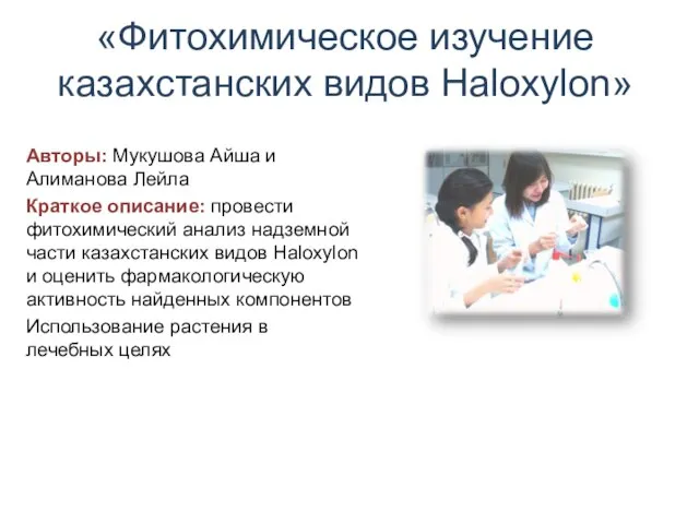 «Фитохимическое изучение казахстанских видов Haloxylon» Авторы: Мукушова Айша и Алиманова Лейла Краткое