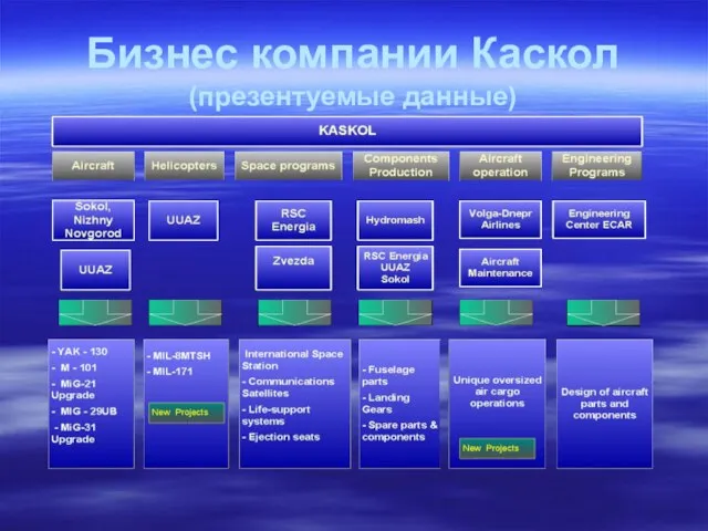 Бизнес компании Каскол (презентуемые данные)