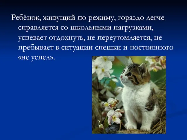 Ребёнок, живущий по режиму, гораздо легче справляется со школьными нагрузками, успевает отдохнуть,