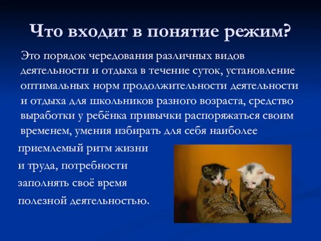 Что входит в понятие режим? Это порядок чередования различных видов деятельности и