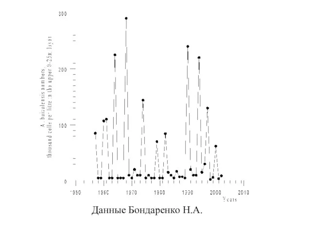 Данные Бондаренко Н.А.