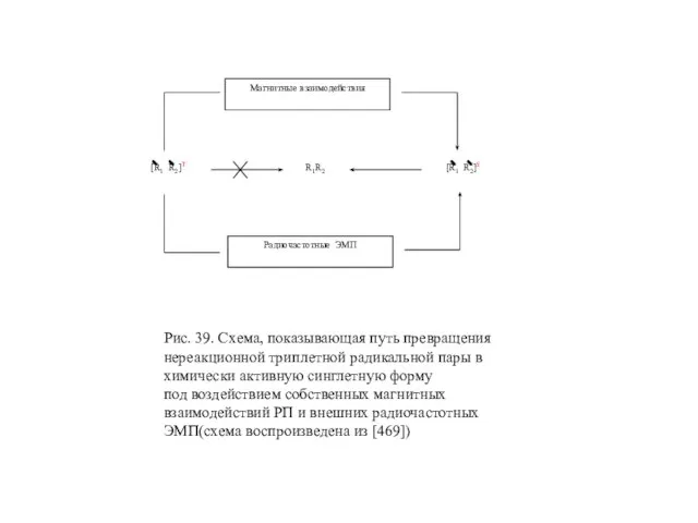 [R1 R2]T R1R2 [R1 R2]S Рис. 39. Схема, показывающая путь превращения нереакционной