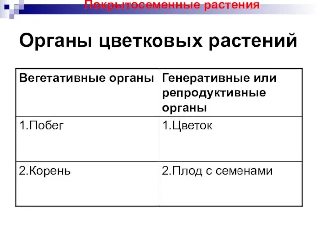 Органы цветковых растений Покрытосеменные растения