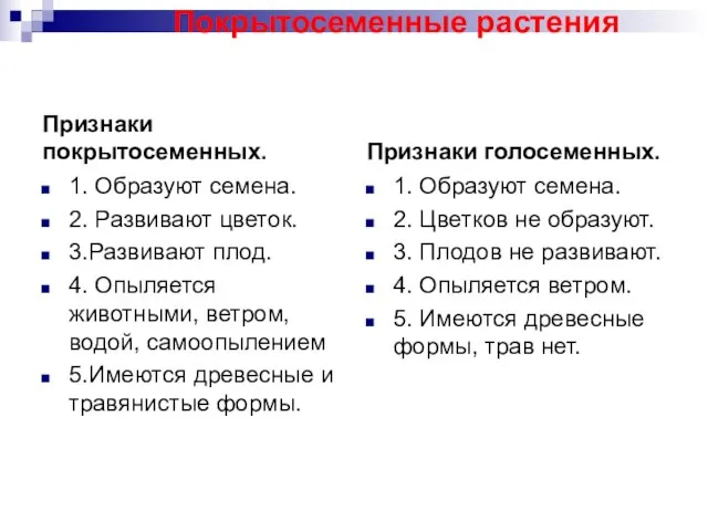 Признаки покрытосеменных. 1. Образуют семена. 2. Развивают цветок. 3.Развивают плод. 4. Опыляется