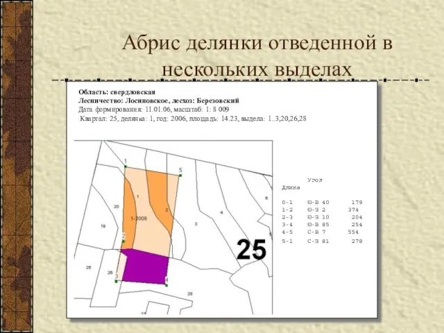 Абрис делянки отведенной в нескольких выделах Угол Длина 0-1 Ю-В 40 179