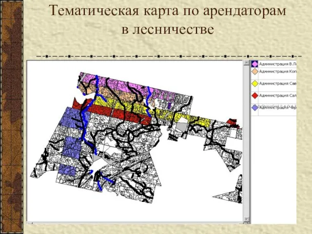 Тематическая карта по арендаторам в лесничестве