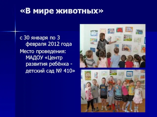 «В мире животных» с 30 января по 3 февраля 2012 года Место