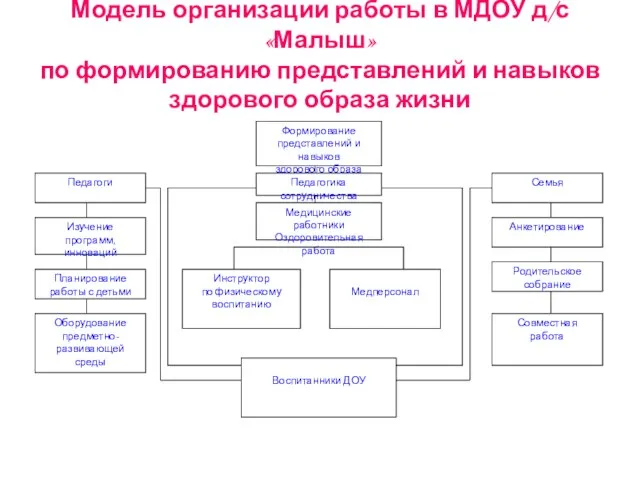 Модель организации работы в МДОУ д/с «Малыш» по формированию представлений и навыков здорового образа жизни