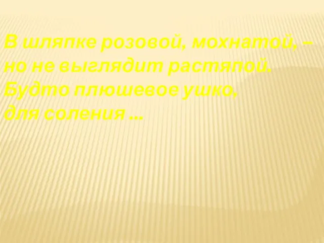 В шляпке розовой, мохнатой, – но не выглядит растяпой. Будто плюшевое ушко, для соления ...