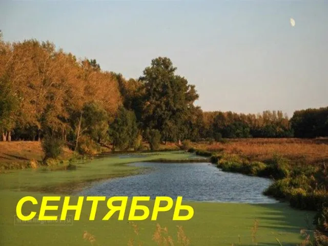 СЕНТЯБРЬ