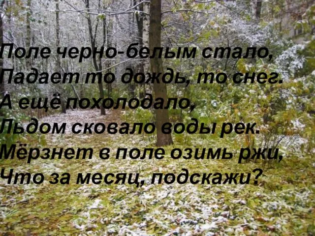 Поле черно-белым стало, Падает то дождь, то снег. А ещё похолодало, Льдом