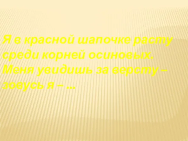 Я в красной шапочке расту среди корней осиновых. Меня увидишь за версту