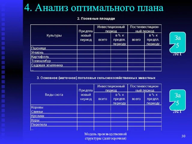 Модель производственной структуры (долгосрочная) 4. Анализ оптимального плана За 5 лет За 5 лет