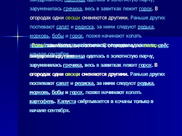 Рожь пожелтела, заколосилась, отяжелела, поспела; овёс закудрявился, пшеница оделась в золотистую парчу,