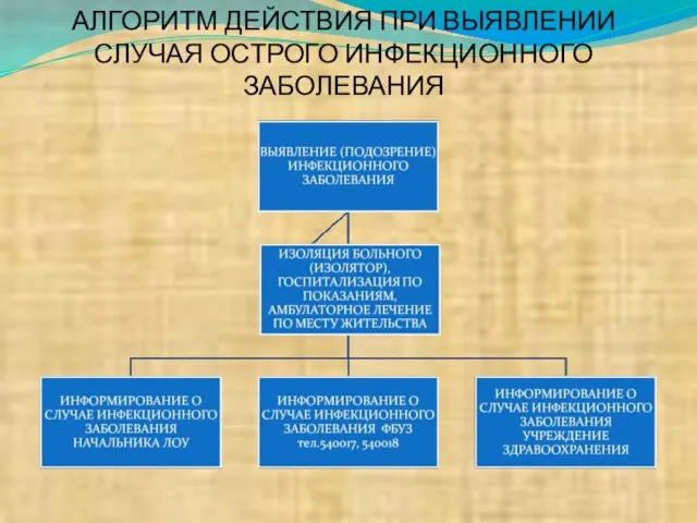 АЛГОРИТМ ДЕЙСТВИЯ ПРИ ВЫЯВЛЕНИИ СЛУЧАЯ ОСТРОГО ИНФЕКЦИОННОГО ЗАБОЛЕВАНИЯ