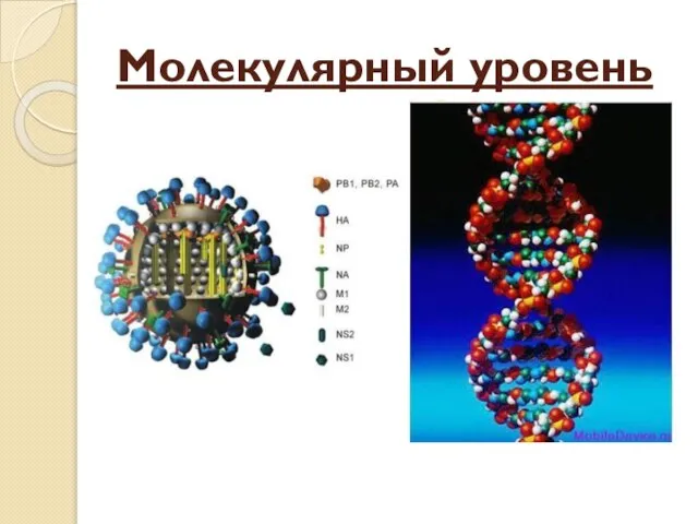 Молекулярный уровень