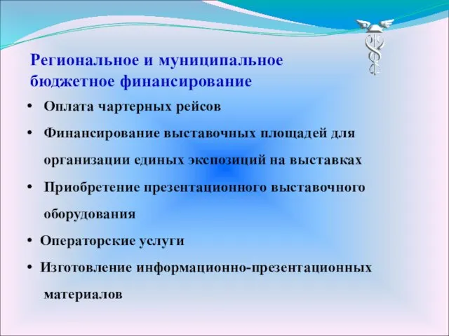 Региональное и муниципальное бюджетное финансирование Оплата чартерных рейсов Финансирование выставочных площадей для