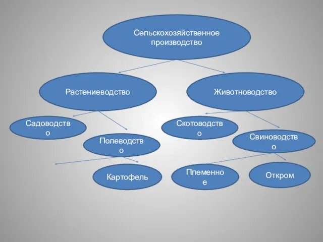 Сельскохозяйственное производство Растениеводство Животноводство Полеводство Садоводство Скотоводство Свиноводство Картофель Откром Племенное