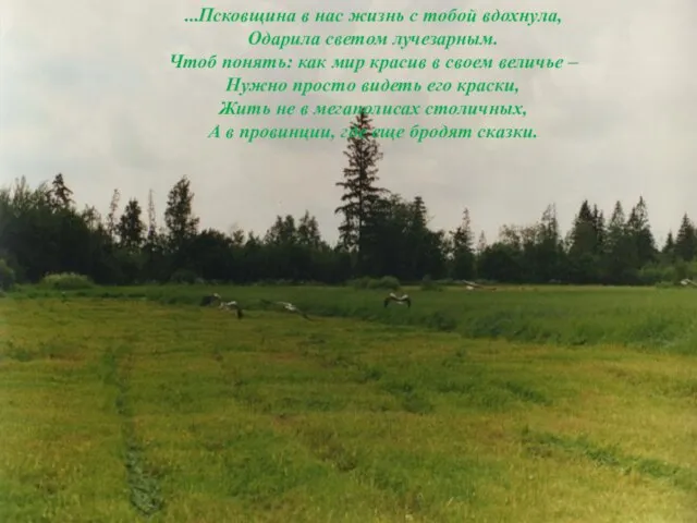 ...Псковщина в нас жизнь с тобой вдохнула, Одарила светом лучезарным. Чтоб понять: