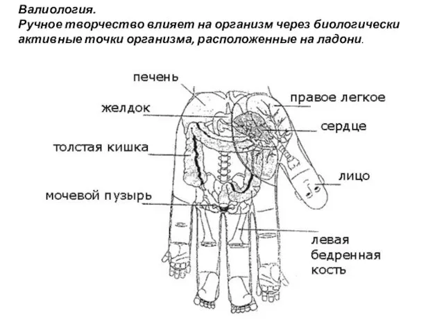 Валиология. Ручное творчество влияет на организм через биологически активные точки организма, расположенные на ладони.