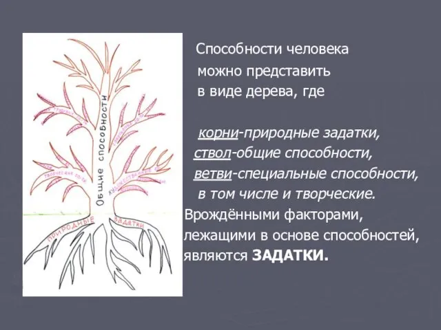 Способности человека можно представить в виде дерева, где корни-природные задатки, ствол-общие способности,