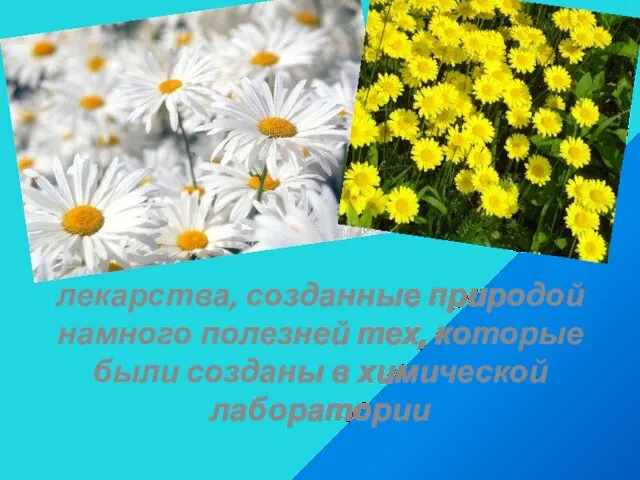 лекарства, созданные природой намного полезней тех, которые были созданы в химической лаборатории