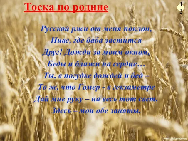 Тоска по родине Русской ржи от меня поклон, Ниве, где баба застится