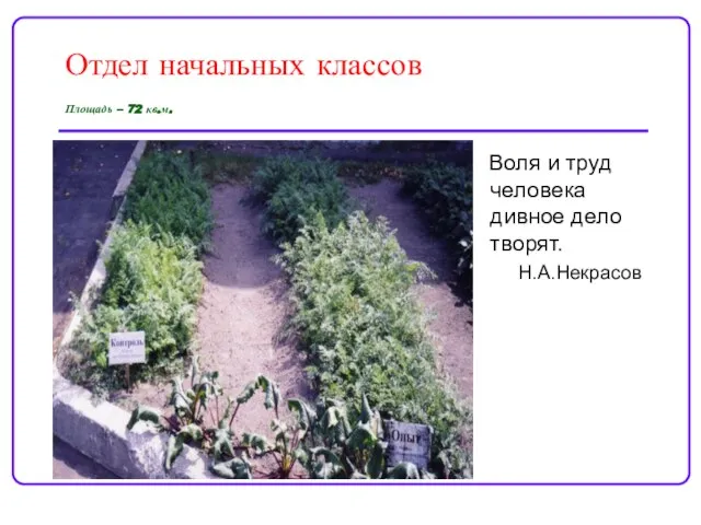 Отдел начальных классов Площадь – 72 кв.м. Воля и труд человека дивное дело творят. Н.А.Некрасов