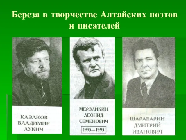 Береза в творчестве Алтайских поэтов и писателей
