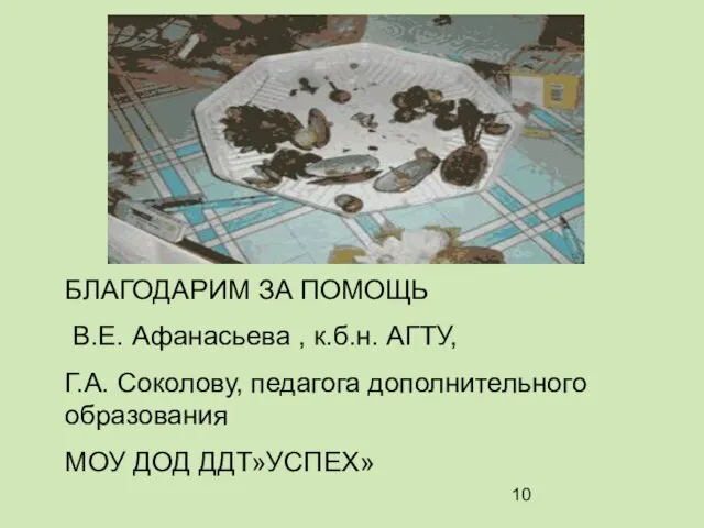 БЛАГОДАРИМ ЗА ПОМОЩЬ В.Е. Афанасьева , к.б.н. АГТУ, Г.А. Соколову, педагога дополнительного образования МОУ ДОД ДДТ»УСПЕХ»