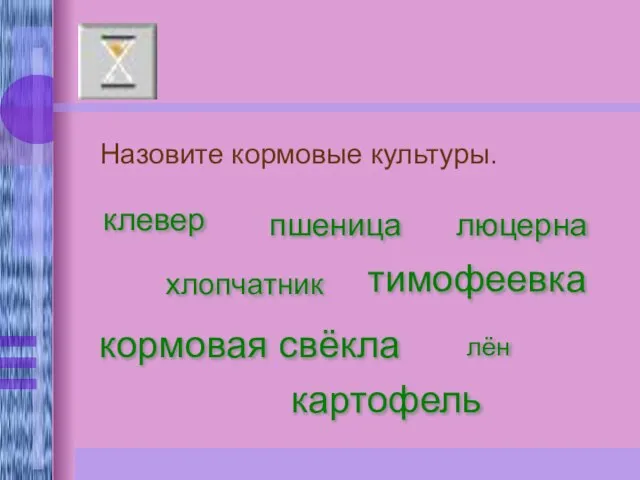 Назовите кормовые культуры. клевер хлопчатник картофель пшеница тимофеевка люцерна кормовая свёкла лён