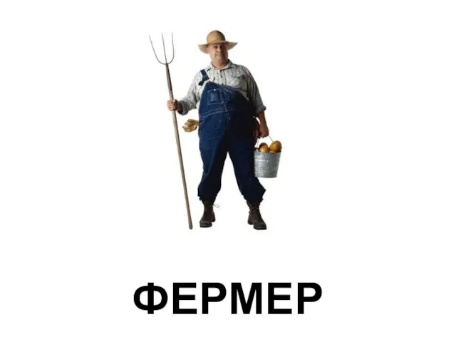 ФЕРМЕР