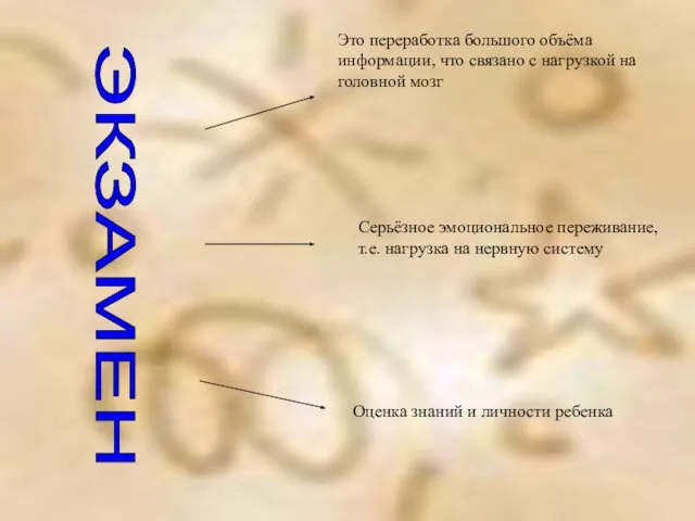 ЭКЗАМЕН Это переработка большого объёма информации, что связано с нагрузкой на головной