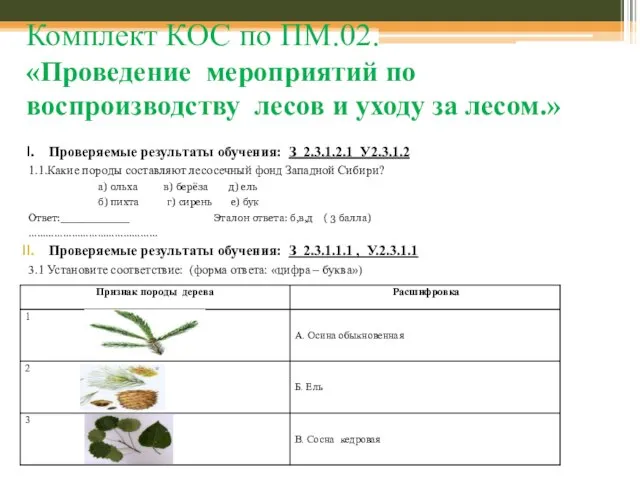 Комплект КОС по ПМ.02. «Проведение мероприятий по воспроизводству лесов и уходу за