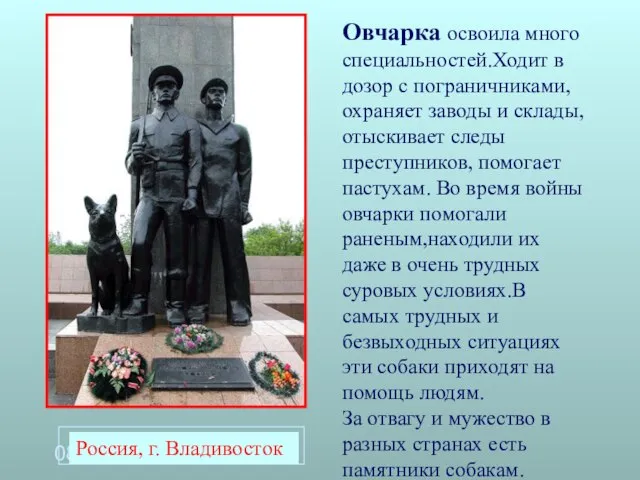 08/18/2023 Овчарка освоила много специальностей.Ходит в дозор с пограничниками, охраняет заводы и