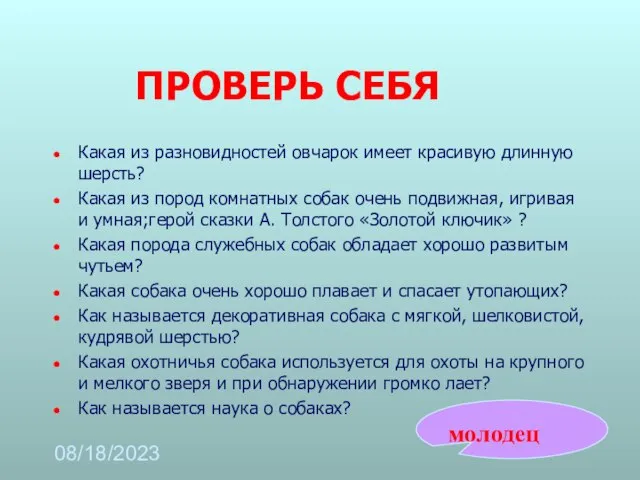 08/18/2023 ПРОВЕРЬ СЕБЯ Какая из разновидностей овчарок имеет красивую длинную шерсть? Какая