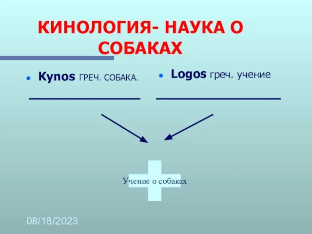 08/18/2023 КИНОЛОГИЯ- НАУКА О СОБАКАХ Kynos-ГРЕЧ. СОБАКА. Logos-греч. учение Учение о собаках