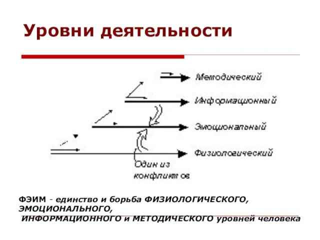 Уровни деятельности ФЭИМ - единство и борьба ФИЗИОЛОГИЧЕСКОГО, ЭМОЦИОНАЛЬНОГО, ИНФОРМАЦИОННОГО и МЕТОДИЧЕСКОГО уровней человека