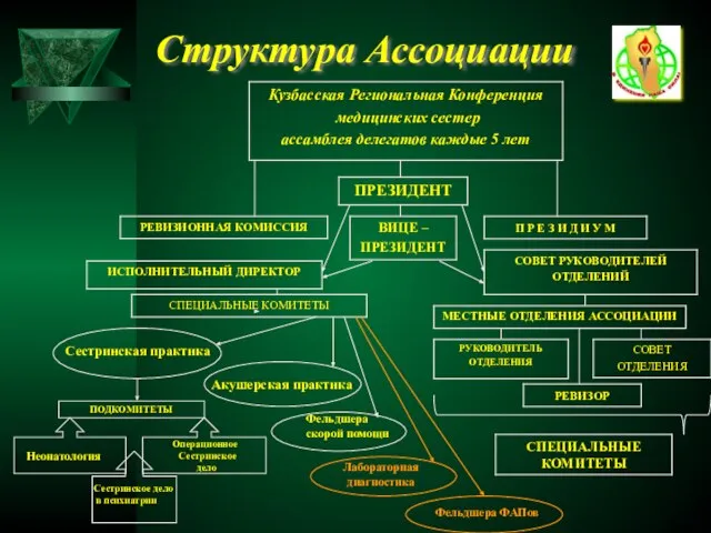 Структура Ассоциации ПОДКОМИТЕТЫ Акушерская практика Фельдшера скорой помощи Лабораторная диагностика Сестринская практика