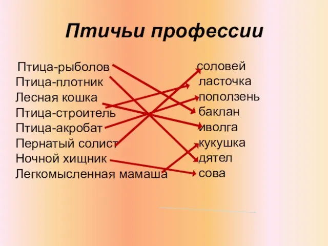 Птичьи профессии Птица-рыболов Птица-плотник Лесная кошка Птица-строитель Птица-акробат Пернатый солист Ночной хищник