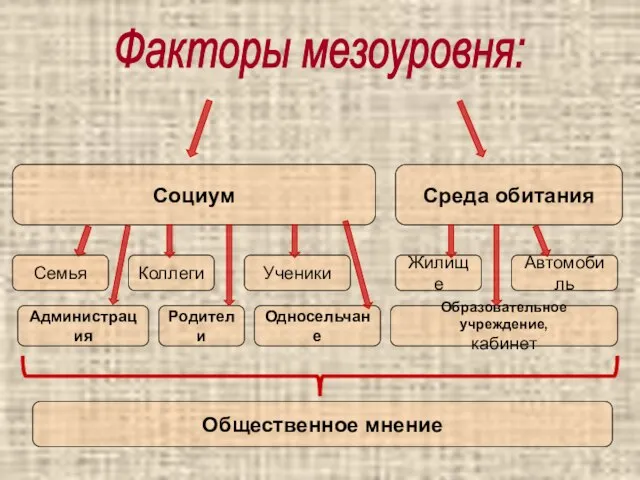 Факторы мезоуровня: Социум Среда обитания Коллеги Общественное мнение Родители Ученики Администрация Односельчане